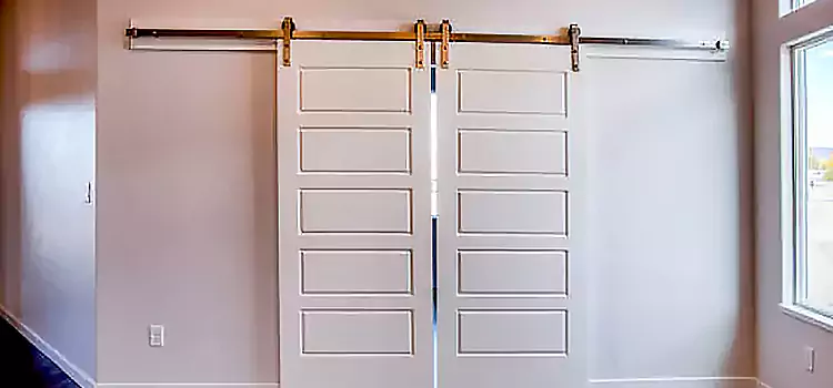 Glass Barn Door with Installation Hardware Kit Benton